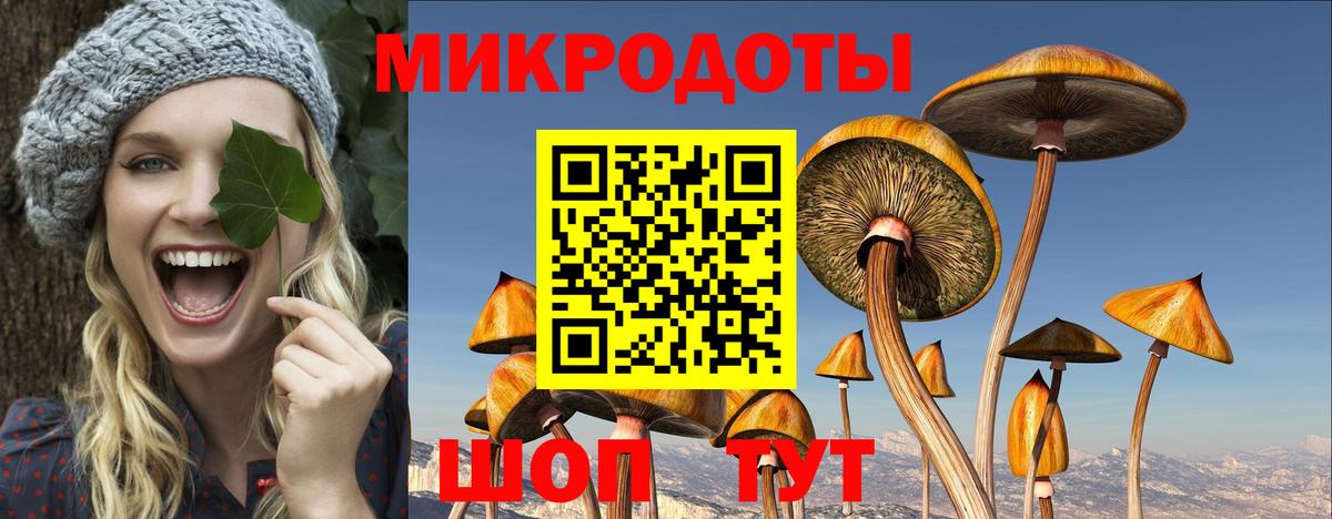 Псилоцибиновые грибы MAGIC MUSHROOMS Бугуруслан